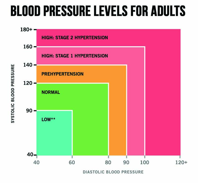 Blood Pressure Standard levels (WHO/ISH)